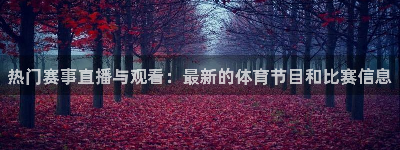 足球之绿茵球王：热门赛事直播与观看：最新的体育节目和比赛信息
