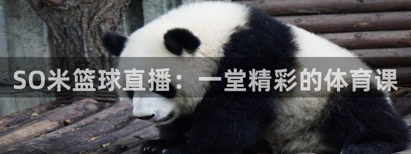 东京绿茵足球：SO米篮球直播：一堂精彩的体育课