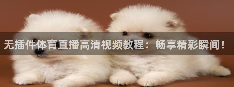 绿茵直播免费看球直播：无插件体育直播高清视频教程：畅享精彩瞬间！