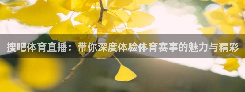 绿茵直播在线观看：搜吧体育直播：带你深度体验体育赛事的魅力与精彩