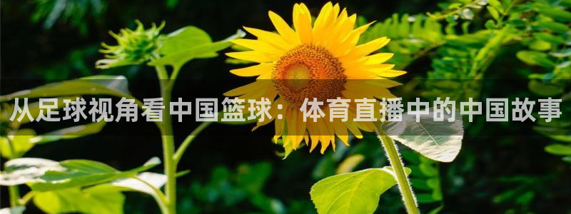 绿茵直播体育：从足球视角看中国篮球：体育直播中的中国故事