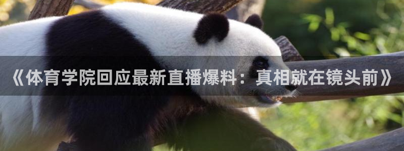 足球直播绿茵体育：《体育学院回应最新直播爆料：真相就在镜头前》