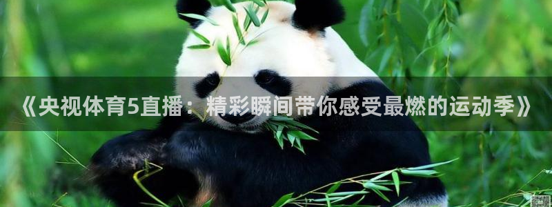 绿茵直播在线观看：《央视体育5直播：精彩瞬间带你感受最燃的运动季》