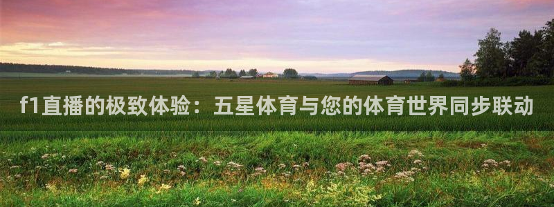 绿茵直播体育app下载安装最新版：f1直播的极致体验：五星体育与您的体育世界同步联动