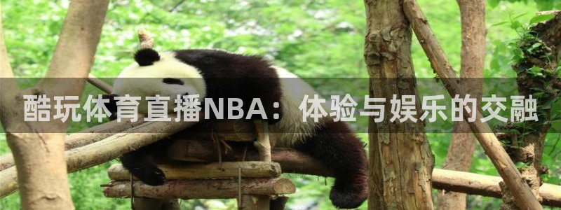 足球直播绿茵：酷玩体育直播NBA：体验与娱乐的交融