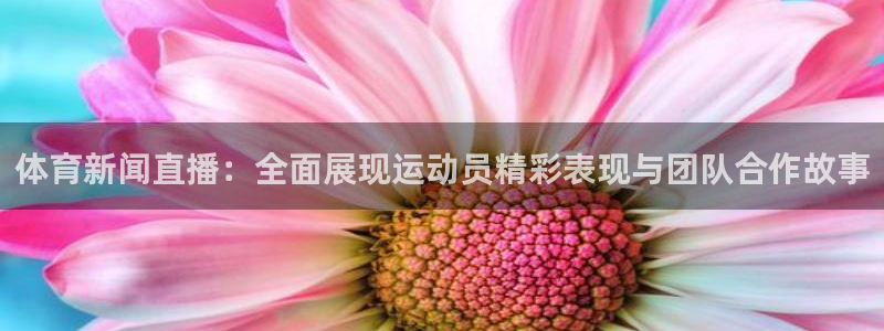 足球比赛绿茵直播：体育新闻直播：全面展现运动员精彩表现与团队合作故事