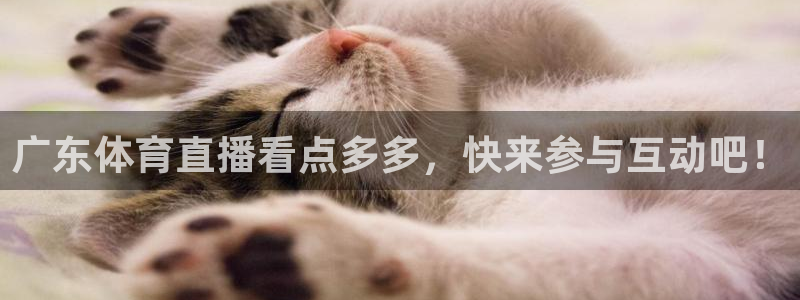 绿茵直播球赛在线观看：广东体育直播看点多多，快来参与互动吧！